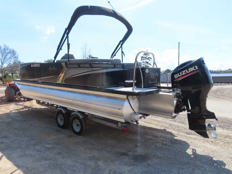 Slide: The Image of Avalon LSZ 2485 2020 - 8