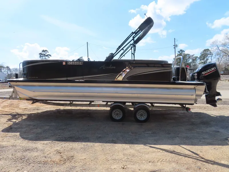 Slide: The Image of Avalon LSZ 2485 2020 - 9