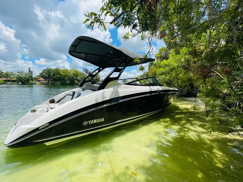 The Image of Yamaha 242 Limited SE 2018 - undefined