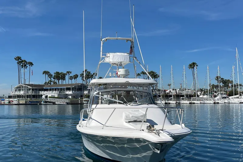 Slide: The Image of 1998 Phoenix 32 Tournament boat docked in a marina with palm trees and clear skies. - 1
