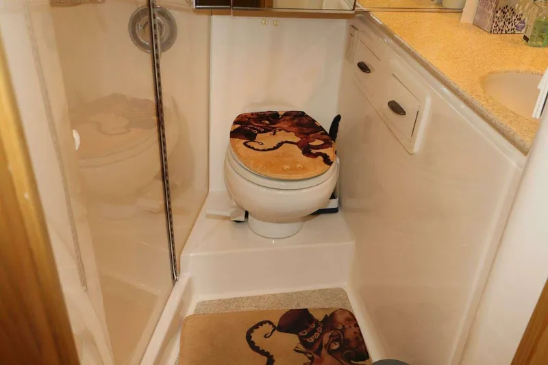 Slide: The Image of Bathroom in 2001 Tiara Yachts 4300 Open, featuring octopus-themed decor. - 18