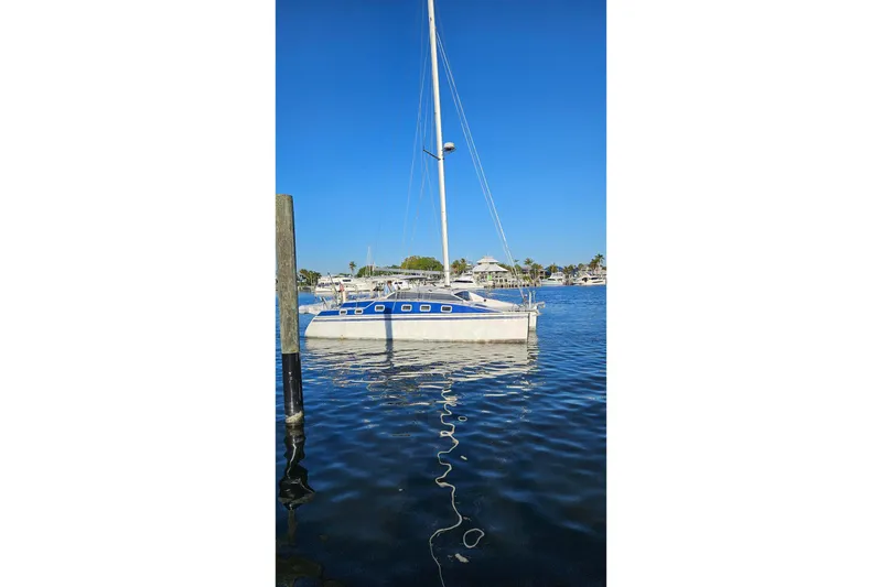 The Image of PDQ 32 LRC 1996 - 0