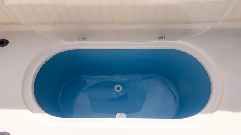 Slide: The Image of Stingray 211 DC 2023 - 10