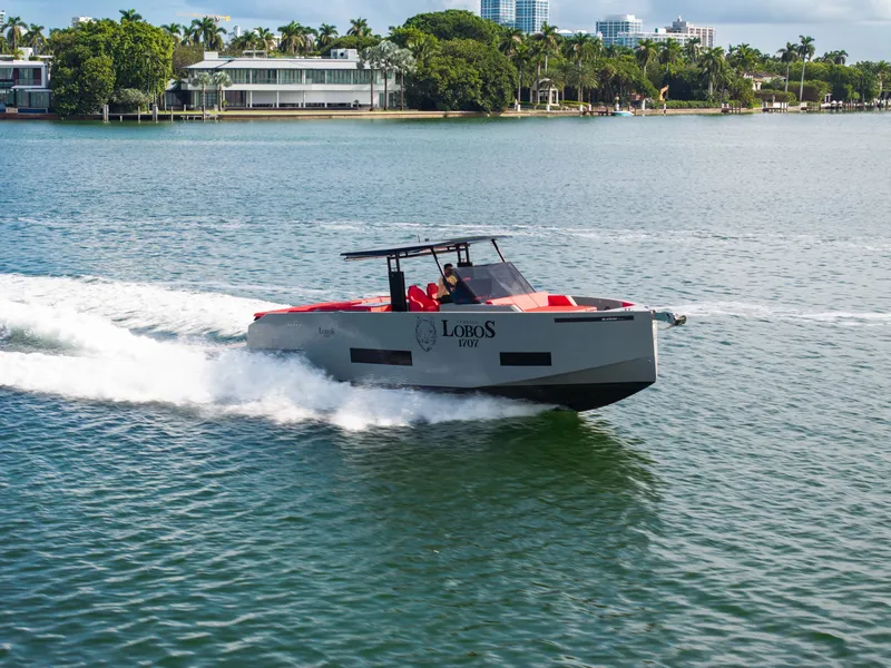 Slide: The Image of De Antonio D42 Open 2023 - 10