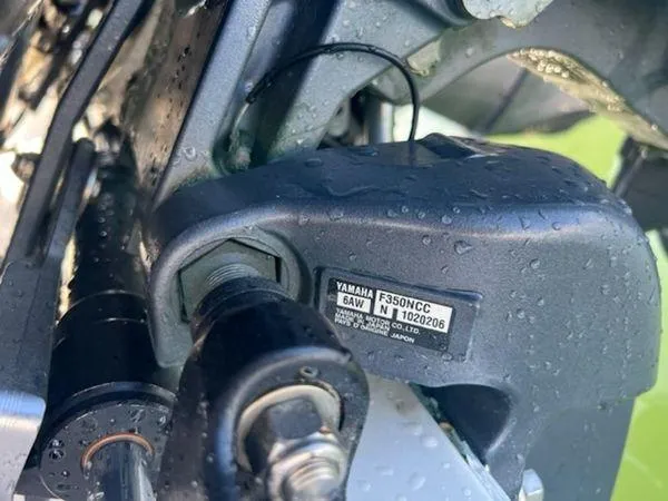 Slide: The Image of Spectre 34 2008 - 51