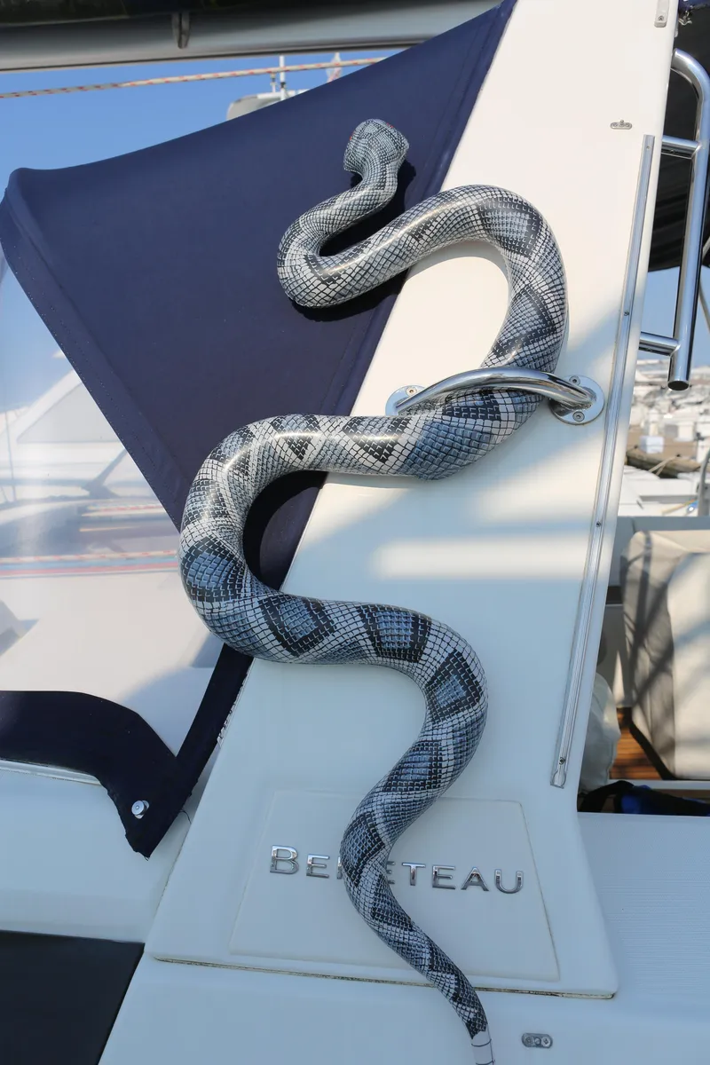 Slide: The Image of Snake on a 2014 Beneteau Oceanis 41 sailboat, coiled on the deck. - 3