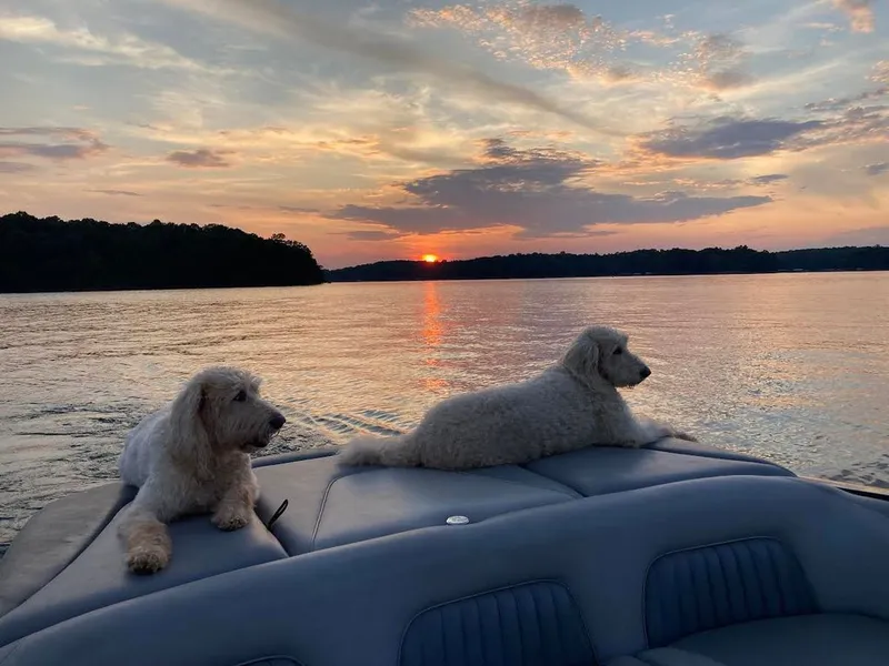 Slide: The Image of Centurion Enzo 2007 - 9