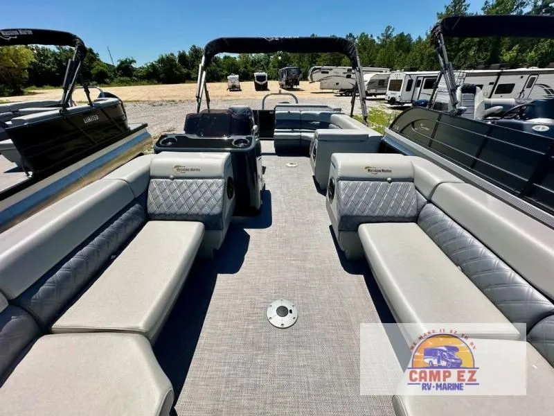 Slide: The Image of P24-Limited Max 2024 - 4