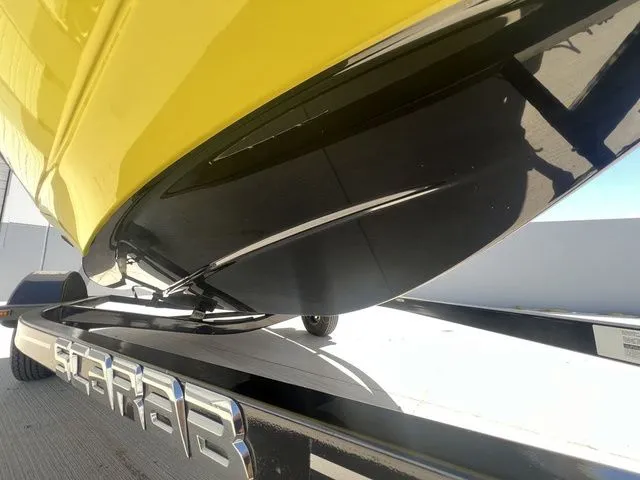 Slide: The Image of Scarab 165 ID 2023 - 7