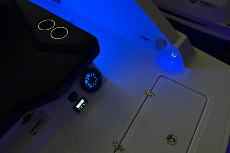 Slide: The Image of Scarab 285 ID 2022 - 113