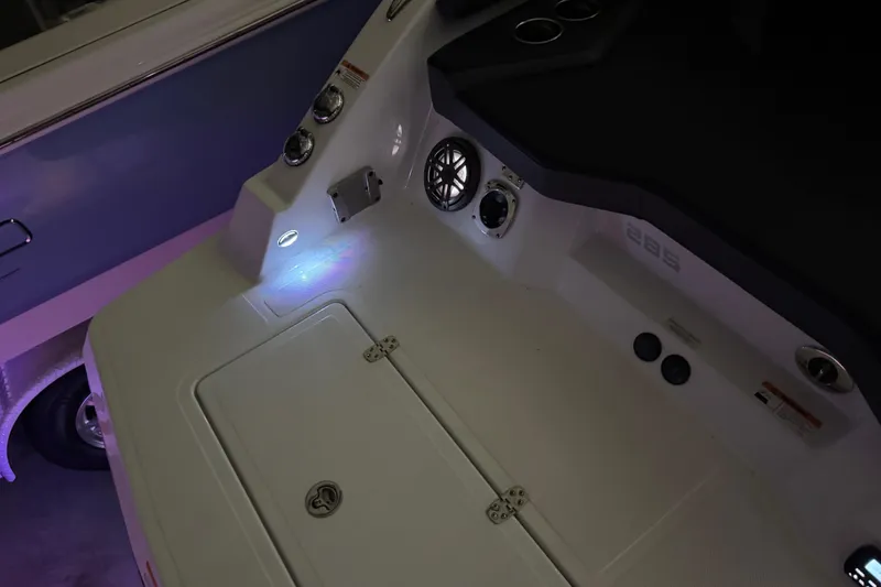 Slide: The Image of Scarab 285 ID 2022 - 135