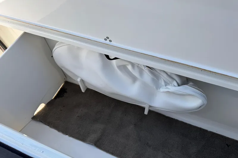 Slide: The Image of Scarab 285 ID 2022 - 60