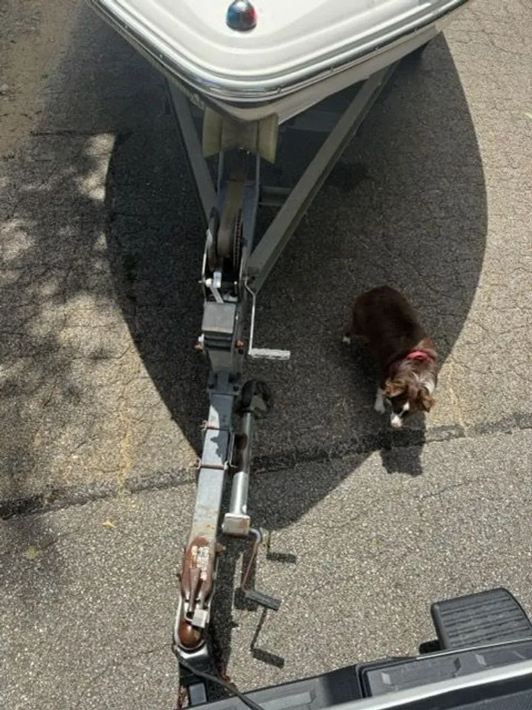 Slide: The Image of Chaparral 196 SSi 2000 - 11