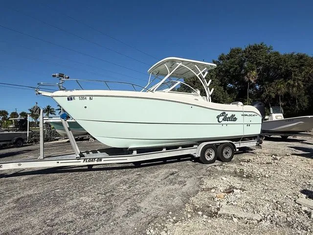 The Image of World Cat 255 DC 2017 - 1