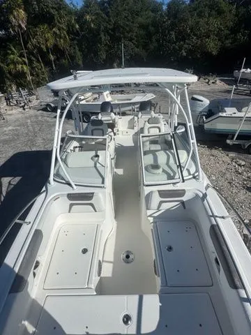 Slide: The Image of World Cat 255 DC 2017 - 5