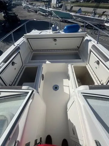 Slide: The Image of World Cat 255 DC 2017 - 6