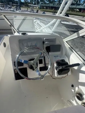 Slide: The Image of World Cat 255 DC 2017 - 7