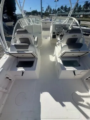 Slide: The Image of World Cat 255 DC 2017 - 8