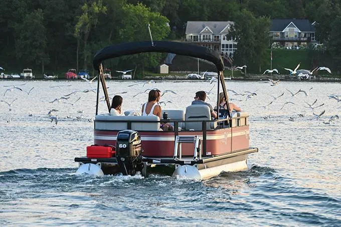 Slide: The Image of Manufacturer Provided Image: 2023 Viaggio Del Mar F boat cruising on a lake with people and seagulls. - 13