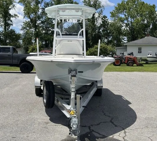 The Image of Sea Pro 250 DLX W/300HP 2025 - 1