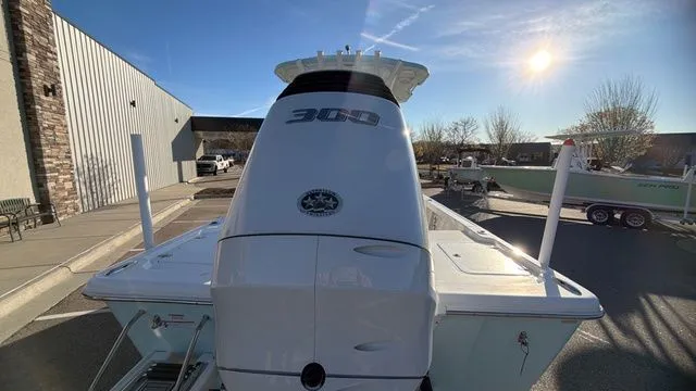 Slide: The Image of Sea Pro 250 DLX W/300HP 2025 - 17