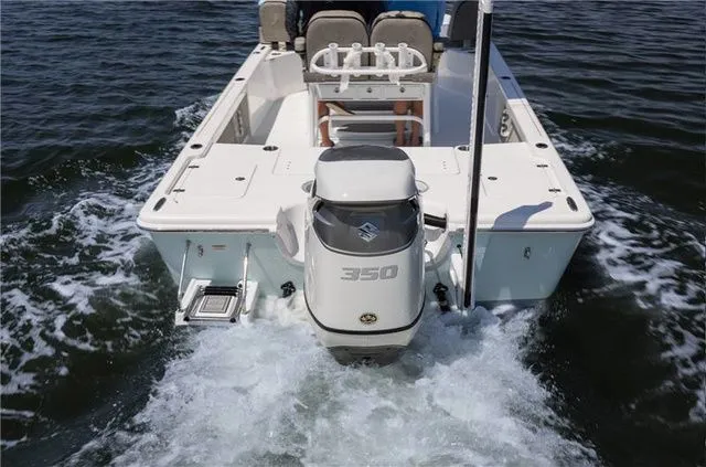 Slide: The Image of Sea Pro 250 DLX W/300HP 2025 - 30