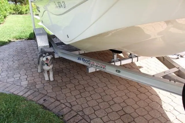 Slide: The Image of A 2021 Carolina Skiff 17 LS boat on a trailer with a small dog nearby. - 5