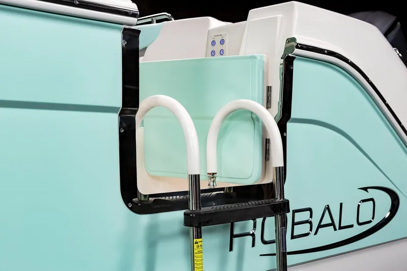 Slide: The Image of Manufacturer Provided Image: 2025 Robalo R317 Dual Console boat with swim ladder and mint green exterior. - 15