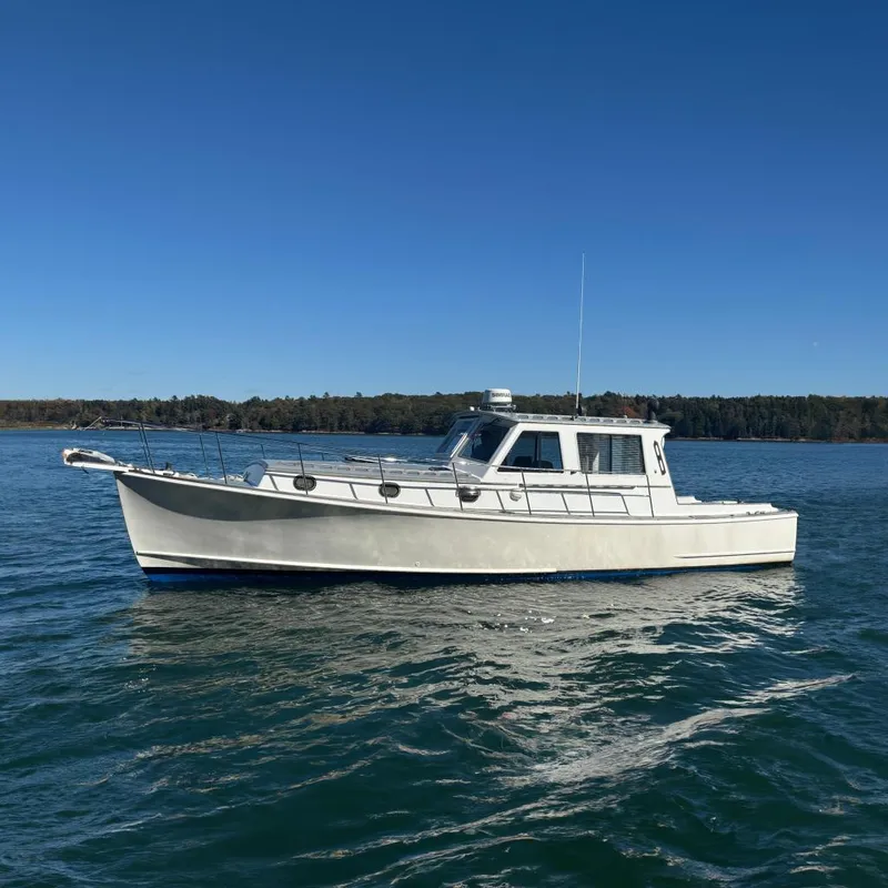 The Image of Jarvis Newman 36 1985 - 0