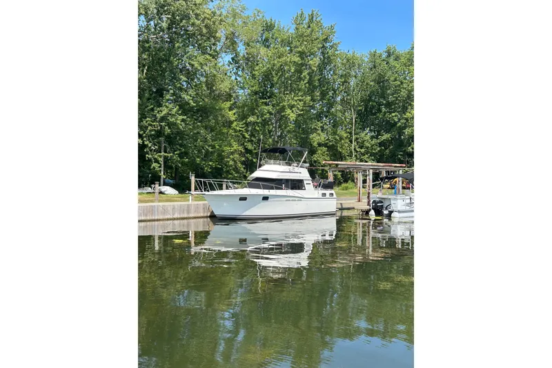 Slide: The Image of 1985 Carver 3207 Aft Cabin Motor Yacht docked by lush greenery. - 3