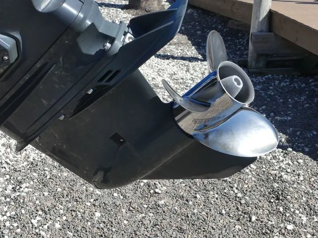 Slide: The Image of Manitou Encore 25 RF SHP 2019 - 11