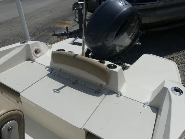 Slide: The Image of Stingray 186 CC 2019 - 12