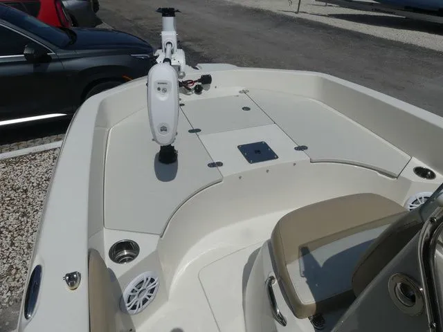 Slide: The Image of Stingray 186 CC 2019 - 13