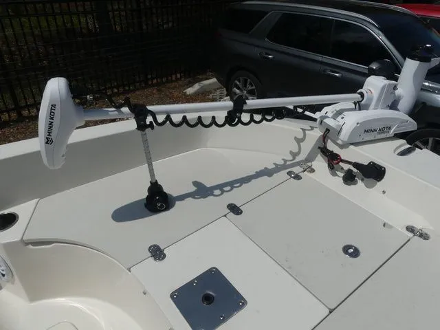 Slide: The Image of Stingray 186 CC 2019 - 14