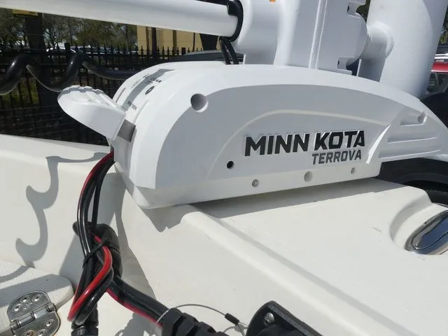 Slide: The Image of Stingray 186 CC 2019 - 15