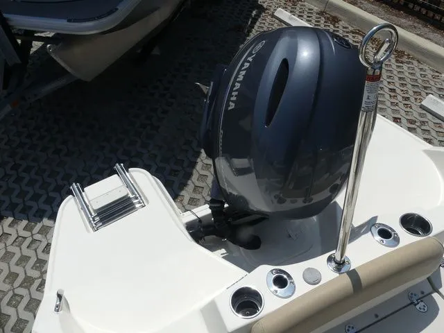 Slide: The Image of Stingray 186 CC 2019 - 6