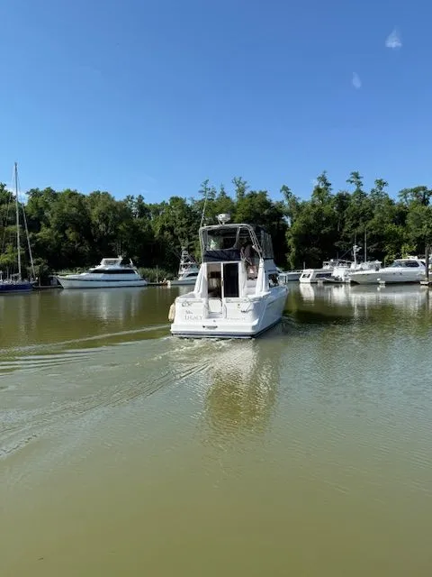 Slide: The Image of Mainship Sedan Bridge 1998 - 25