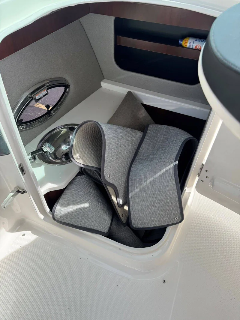 Slide: The Image of Chaparral 29 Surf 2020 - 14