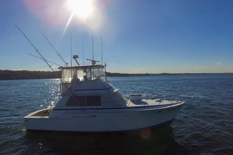 Slide: The Image of 1980 Bertram 42 Convertible yacht on open water under bright sun. - 5