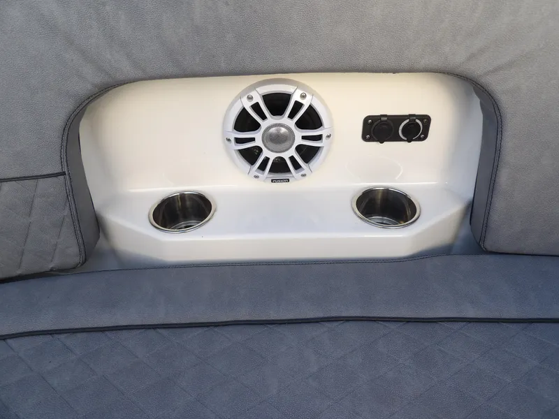 Slide: The Image of Stingray 269 DC 2022 - 50