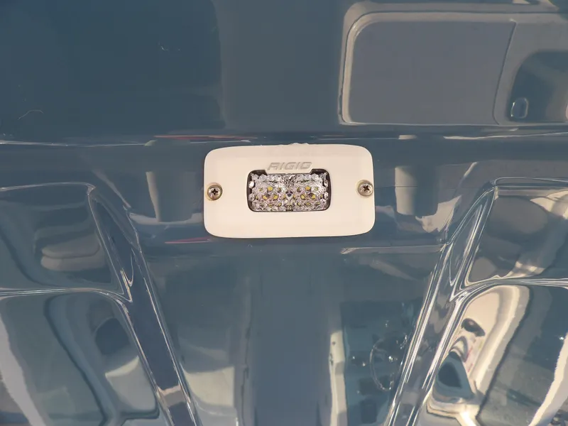 Slide: The Image of Stingray 269 DC 2022 - 55