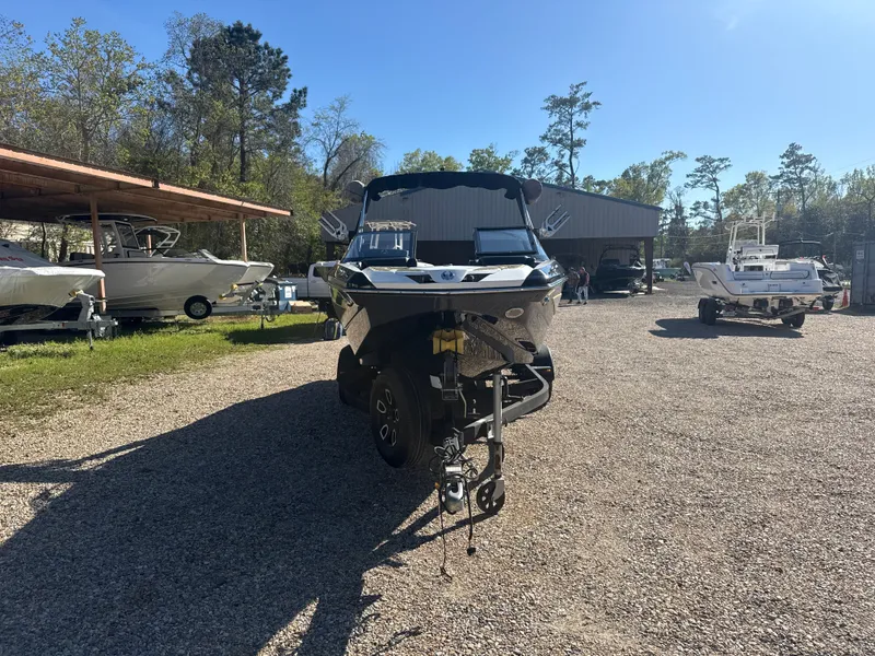 Slide: The Image of Scarab 215 ID 2023 - 3