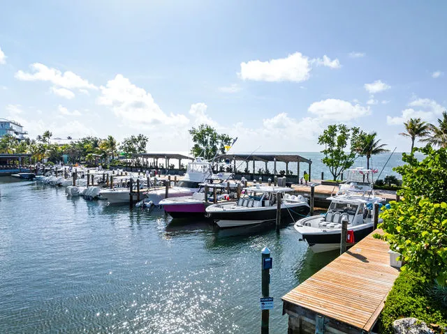 Slide: The Image of Everglades 253 Center Console 2025 - 47