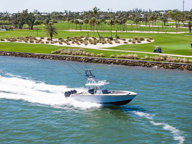 Slide: The Image of SeaVee 390Z 2021 - 30