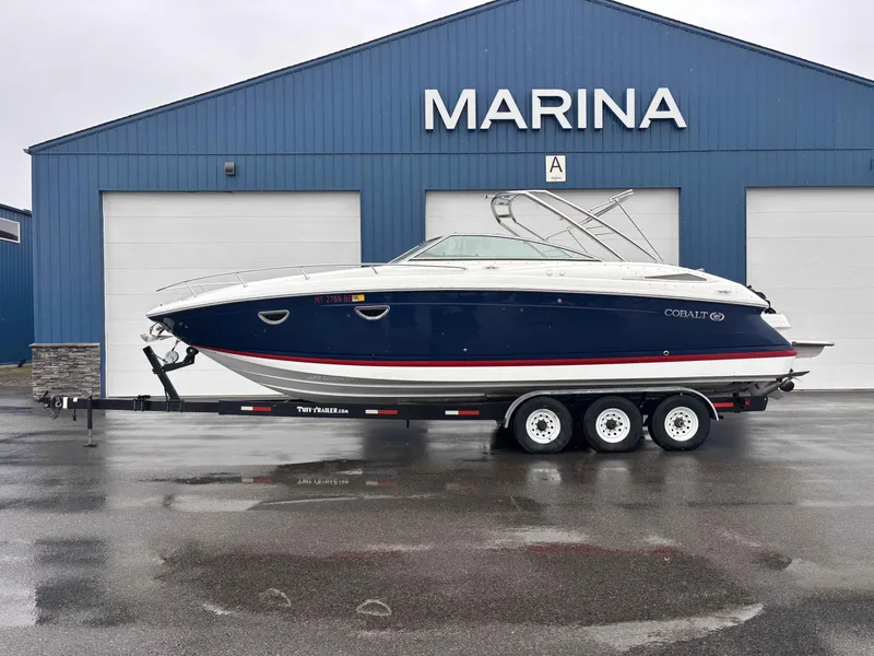 The Image of Cobalt 303 2008 - 1