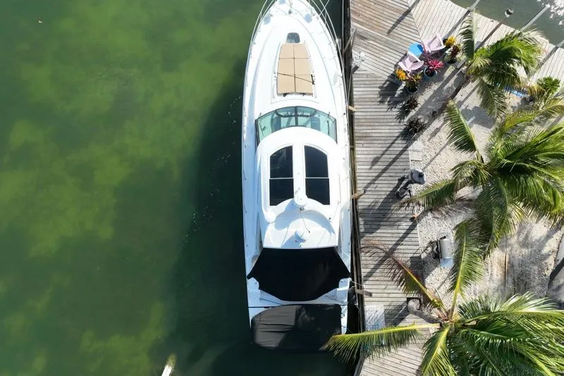 Slide: The Image of Aerial view of 2010 Sea Ray 470 Sundancer yacht docked by palm trees. - 1