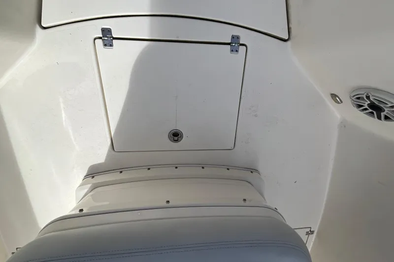Slide: The Image of 2020 Cobia 301 Center Console boat interior with storage compartment and speaker. - 21