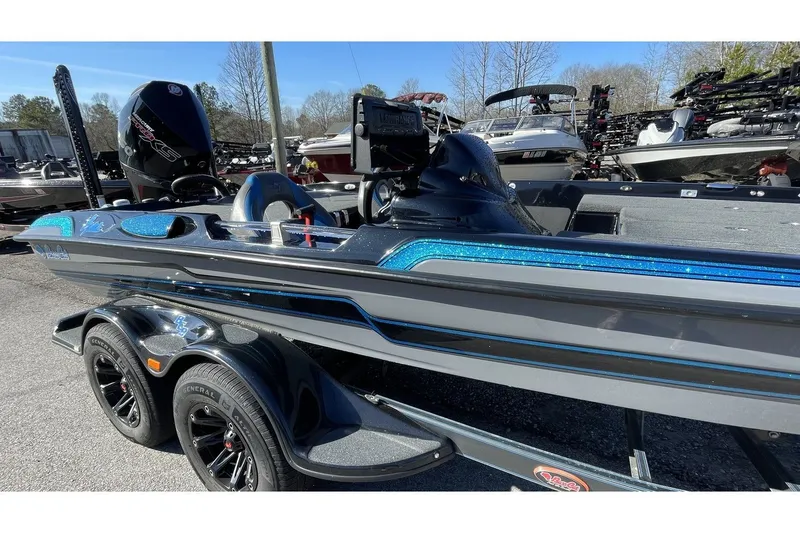 The Image of Bass Cat Eyra 2021 - 1