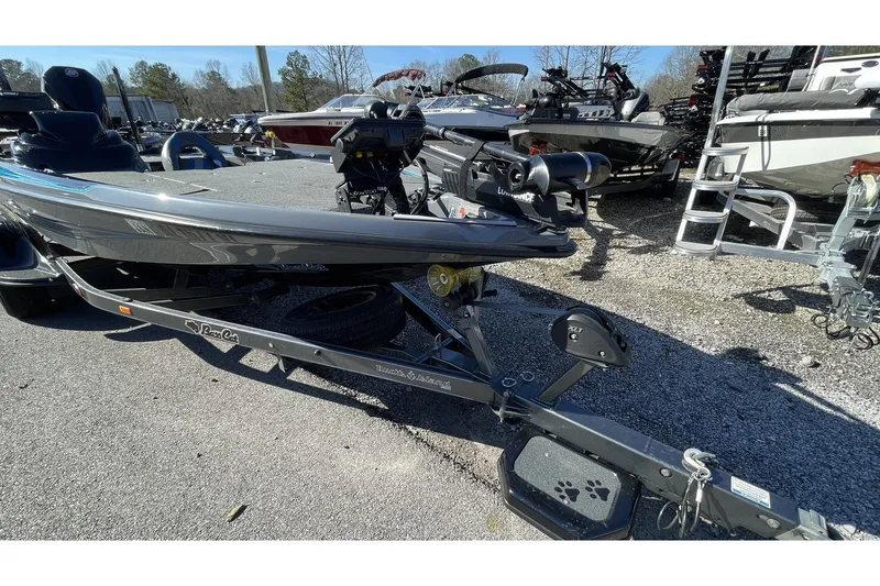 Slide: The Image of Bass Cat Eyra 2021 - 11