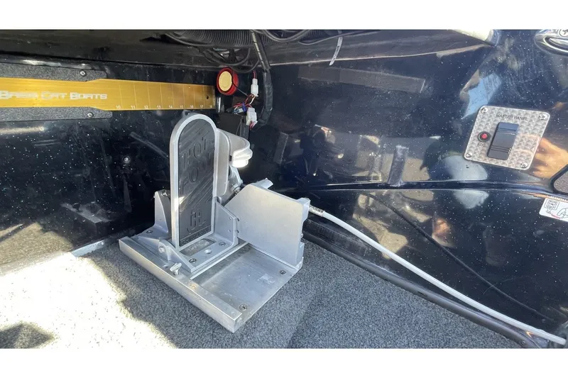 Slide: The Image of Bass Cat Eyra 2021 - 19